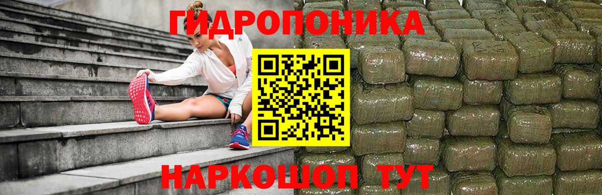 Бошки Шишки VHQ Новокуйбышевск